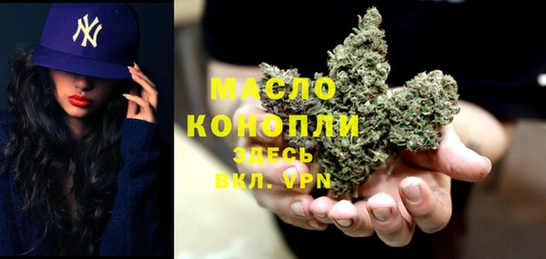 бошки Бронницы