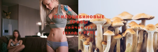 спайс Бородино