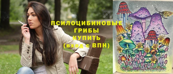 бошки Бронницы