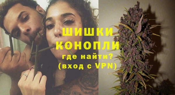 бошки Бронницы