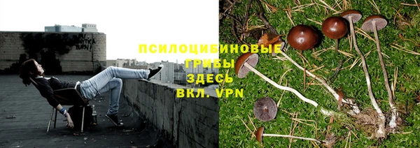 бошки Бронницы