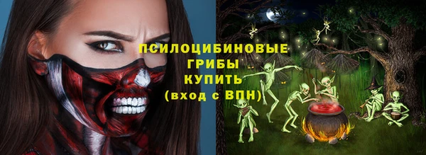 бошки Бронницы