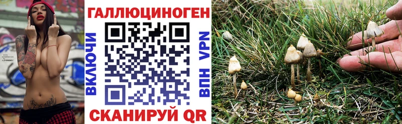 Купить  Гуково  Галлюциногенные грибы мицелий 